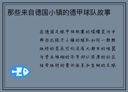 那些来自德国小镇的德甲球队故事