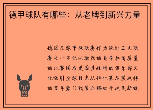 德甲球队有哪些：从老牌到新兴力量