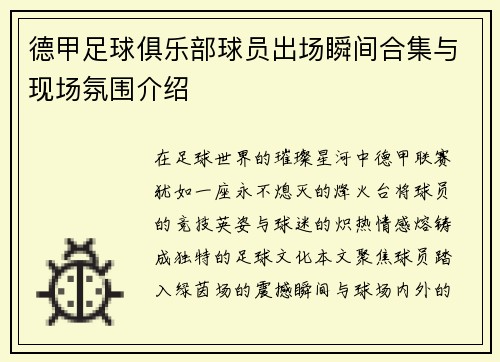 德甲足球俱乐部球员出场瞬间合集与现场氛围介绍